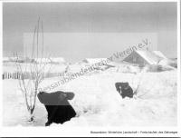  Postkarte - Winterliche Landschaft, freischaufeln des Gehweges