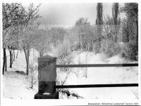  Postkarte - Winterliche Landschaft Tarutino 1937
