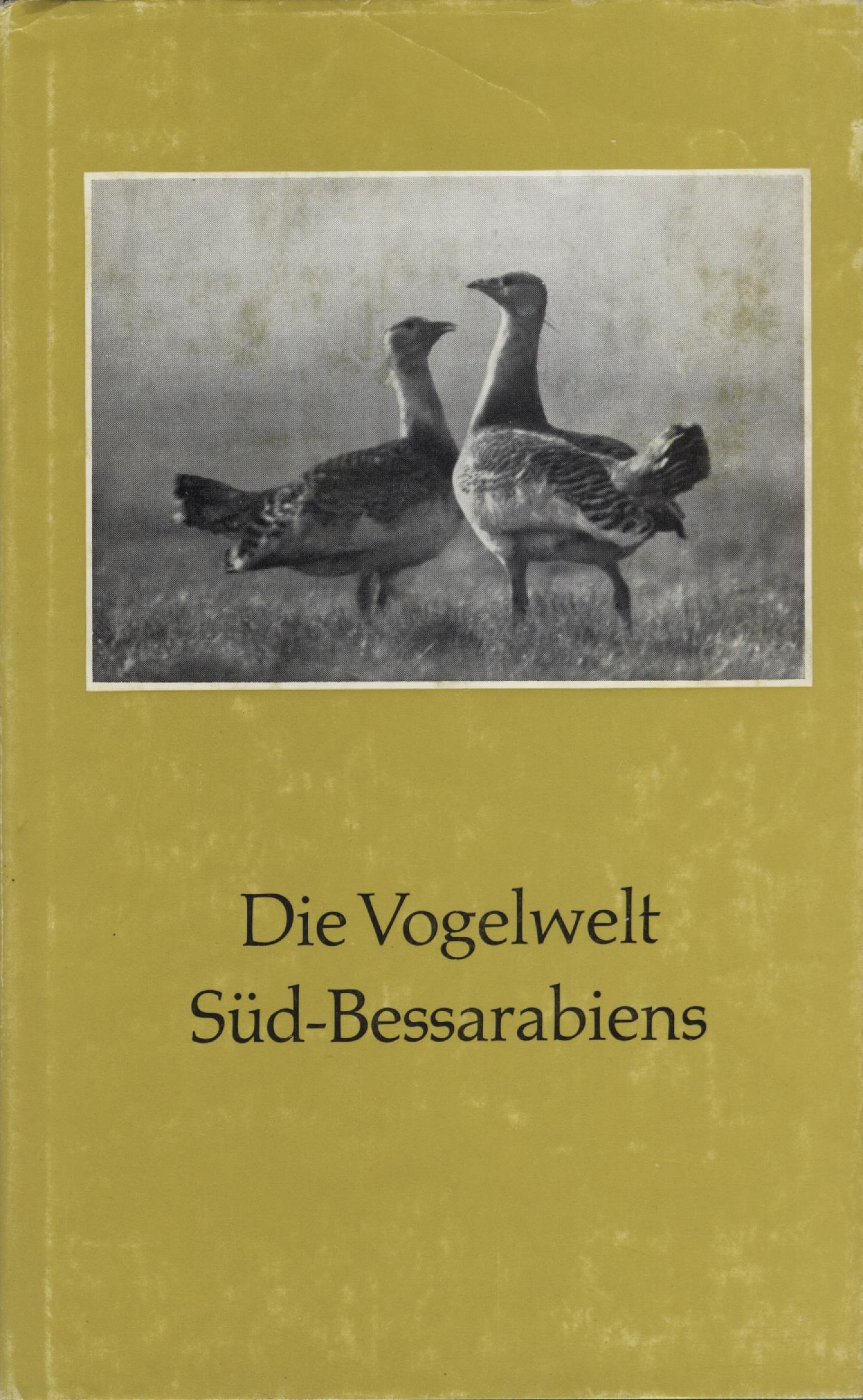 Die Vogelwelt Südbessarabiens