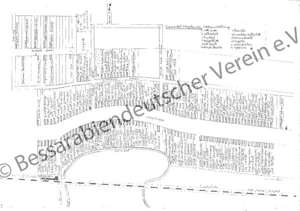 Emmental, 42x30