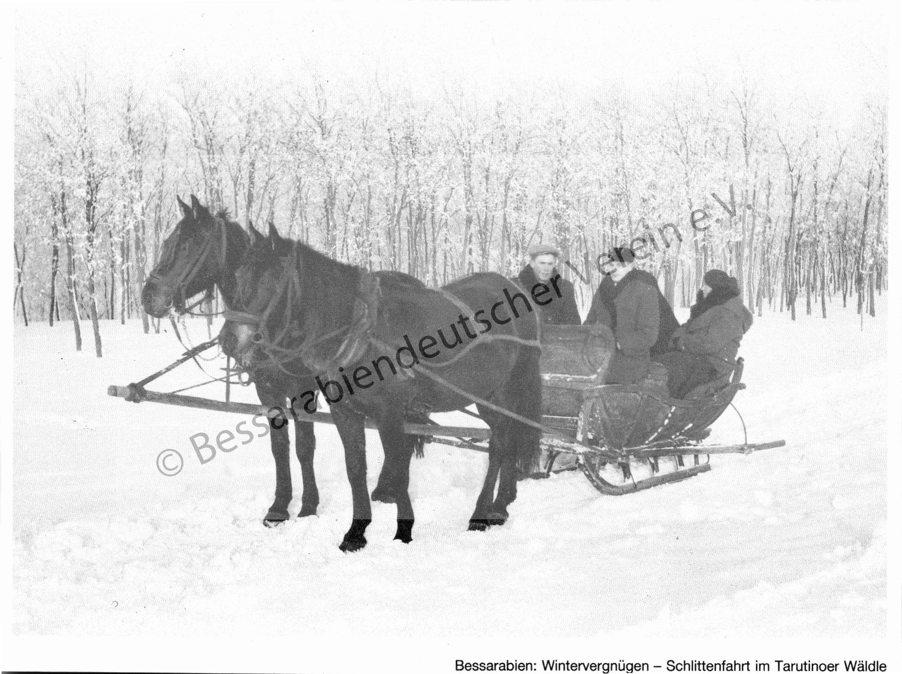Postkarte - Wintervergnügen, Schlittenfahrt im Tarutinoer Wäldle
