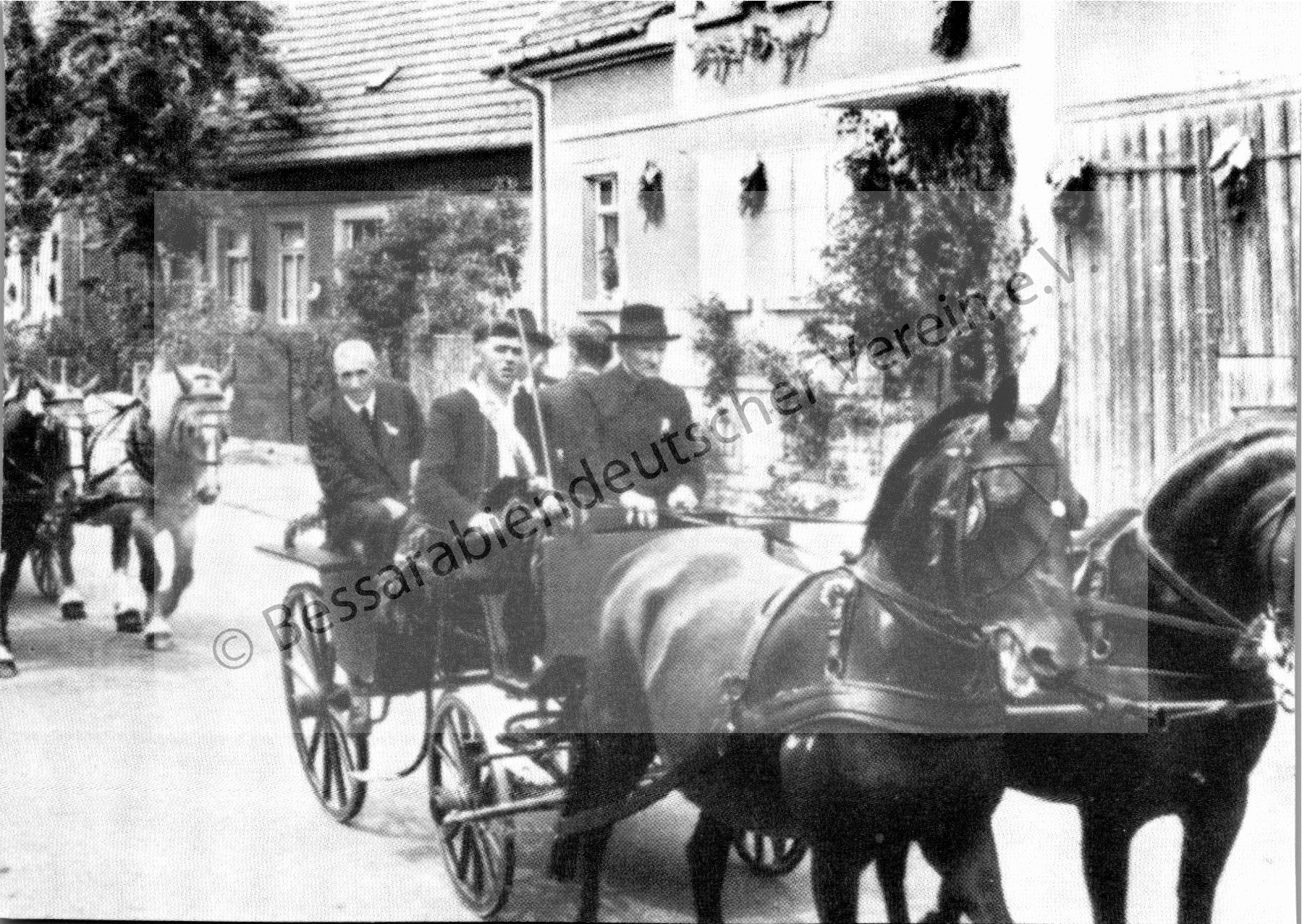 Postkarte - Vollblut-Trabergespann eines deutschen Bauern in Tarutino