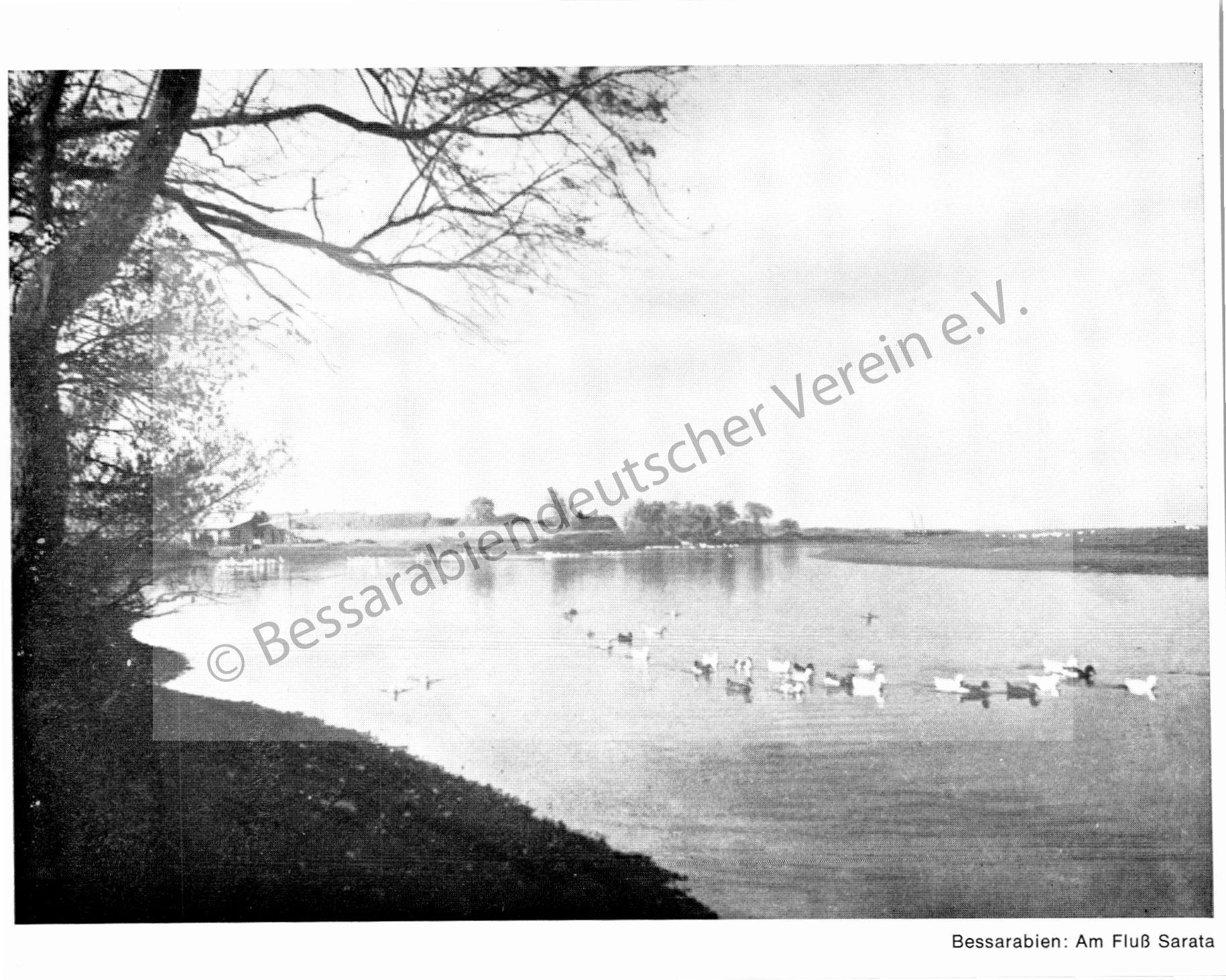 Postkarte - Am Fluß Sarata