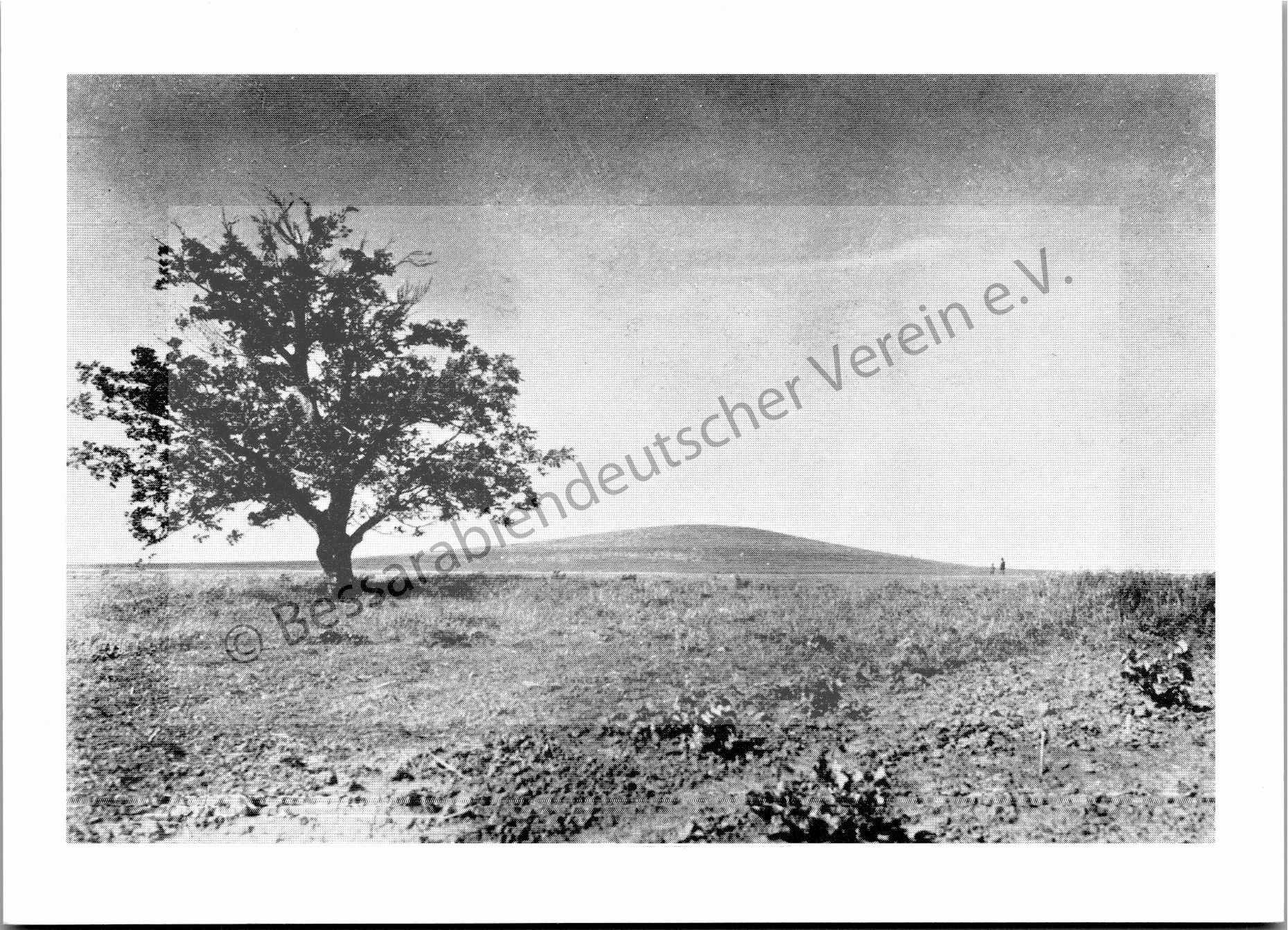 Postkarte - Großer Grabhügel (Kurgan) in Sarata