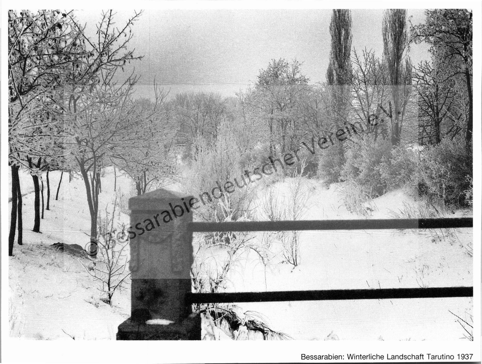 Postkarte - Winterliche Landschaft Tarutino 1937