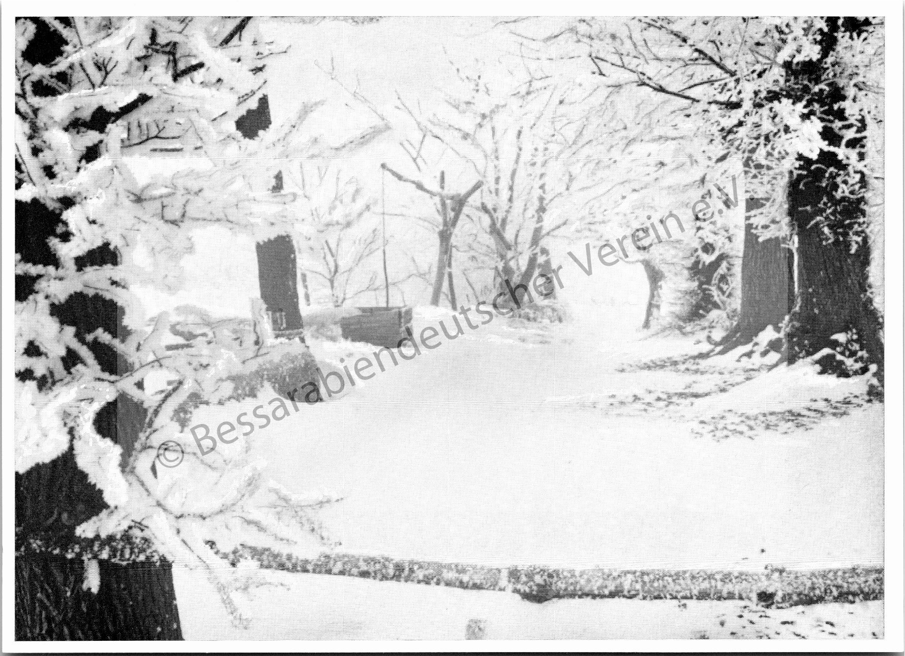 Postkarte - Winterlandschaft am Fluß Sarata