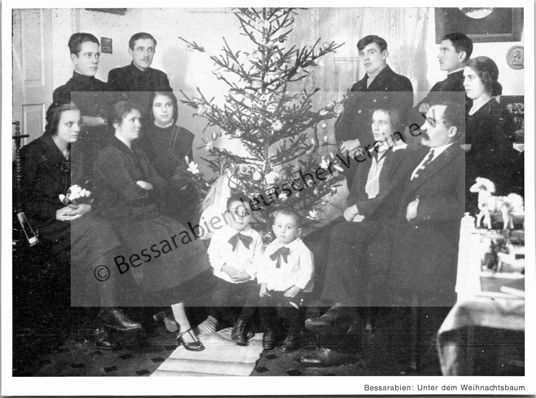 Postkarte - Unter dem Weihnachtsbaum 3