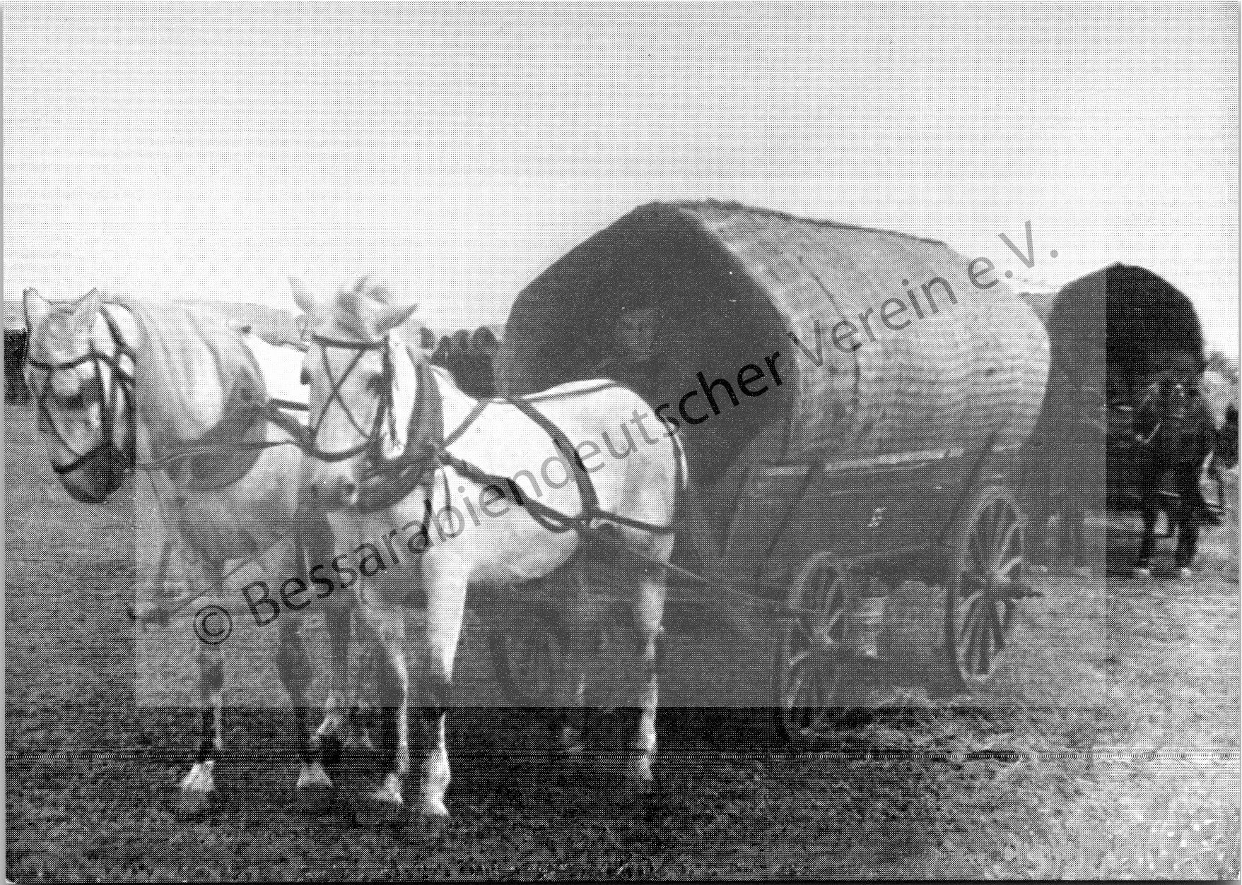 Postkarte - Treckwagen bei der Umsiedlung 1940