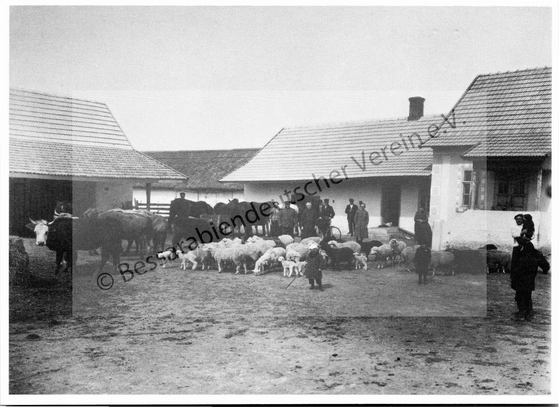 Postkarte - Deutscher Bauernhof in Beresina