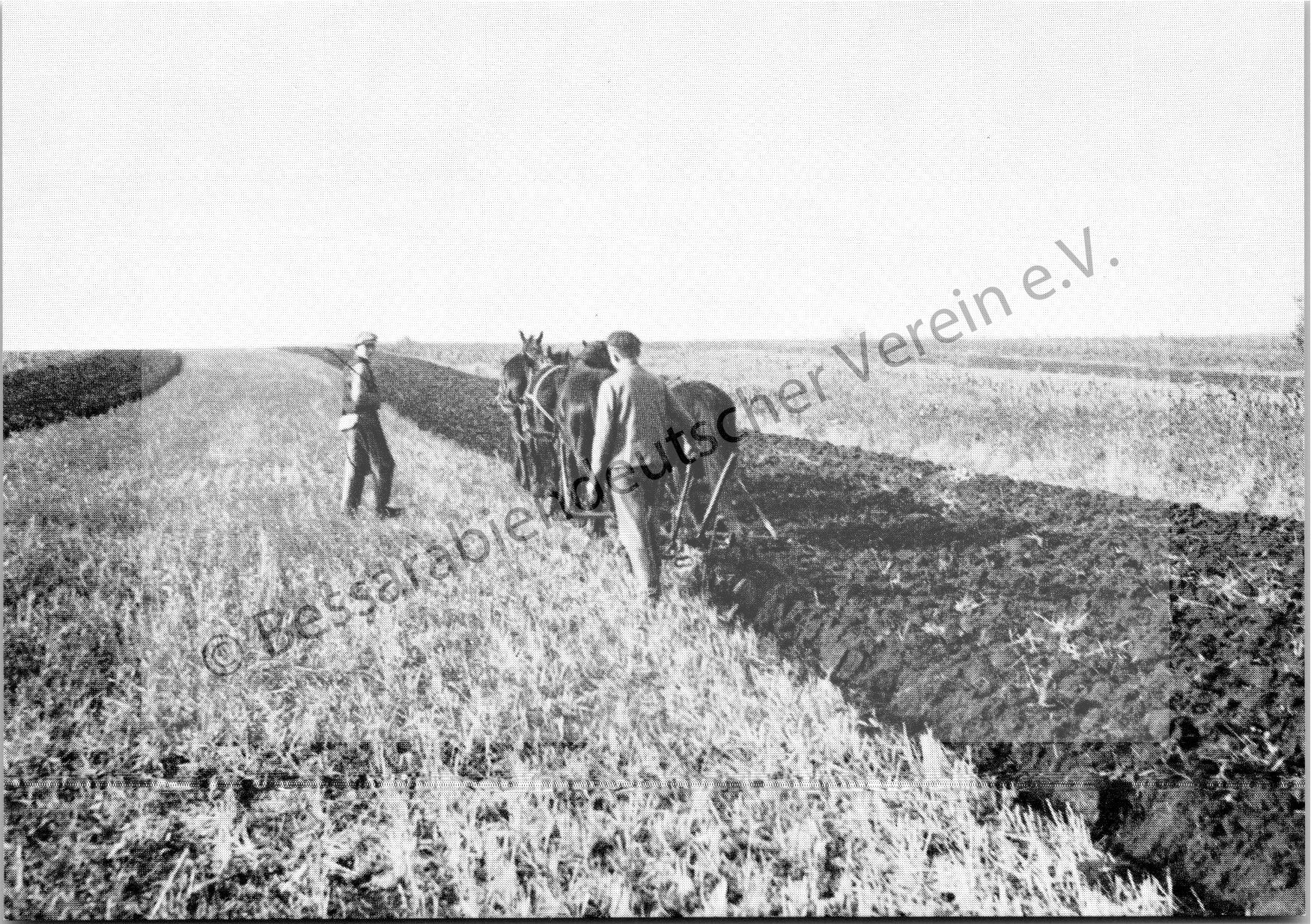 Postkarte - Die fruchtbare Schwarzerde der Bessarabischen Steppe