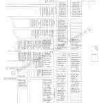 Malcoci (auch Malkotsch) / Dobrudscha, 42 x 30