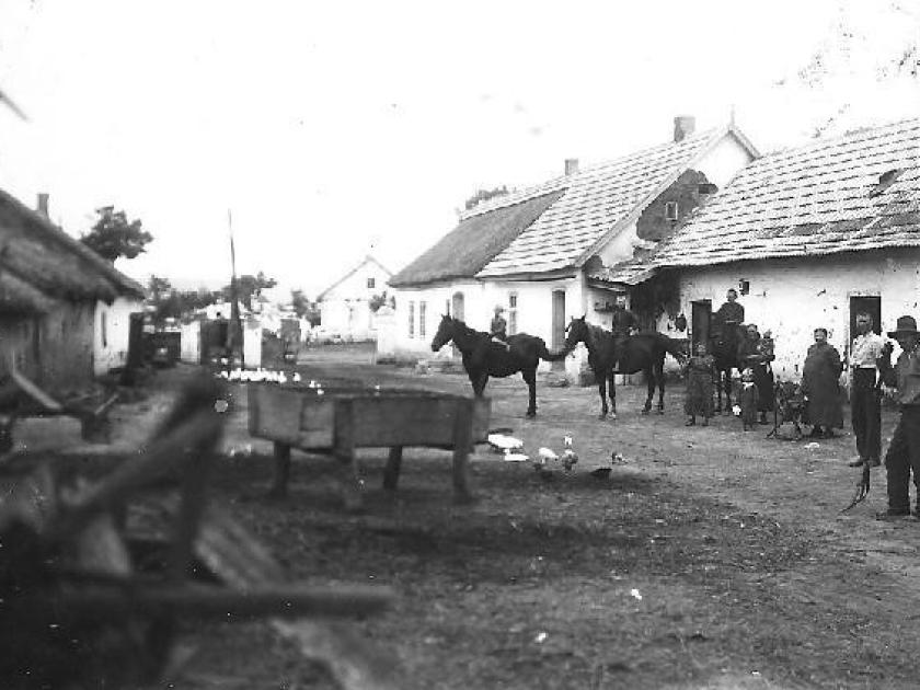 Bauernhof von Maximilian Söhn.