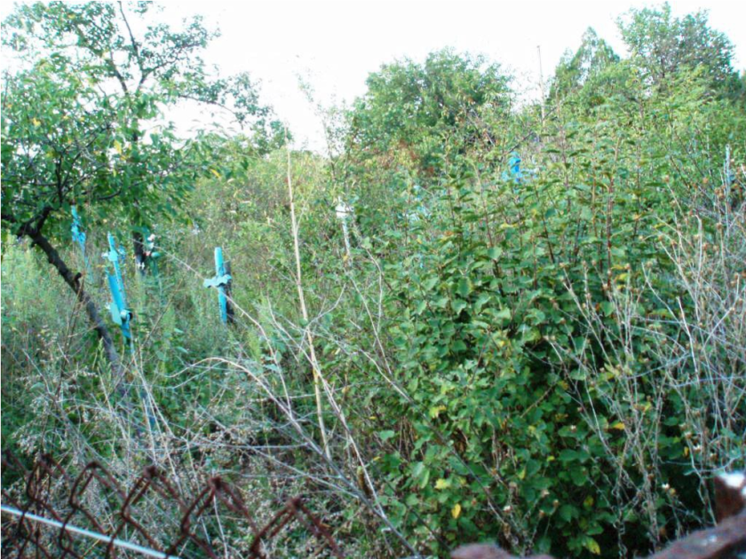 Ehemaliger deutscher Friedhof. Nach 1940 weiter genutzt bis zur Erstellung eines neuen Friedhofes, 2006