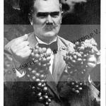 Postkarte - Trauben aus Reinkes Weingarten in Alt-Elft