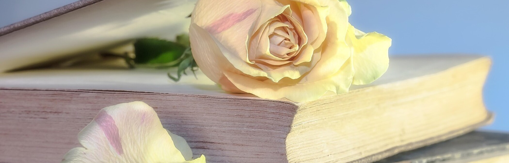 Vielen Dank unsere Museumspaten