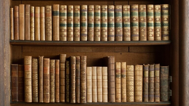 Bücherregal