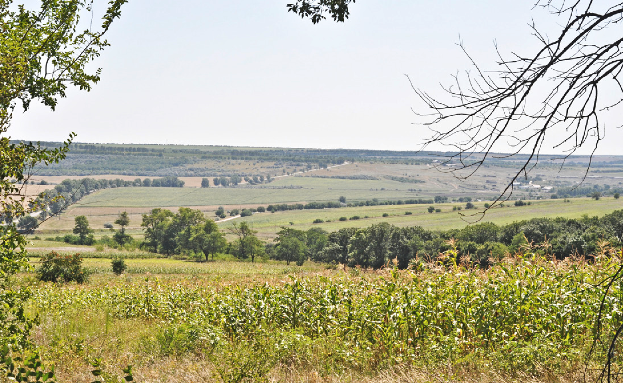 Die weite bessarabische Landschaft bei Albota.