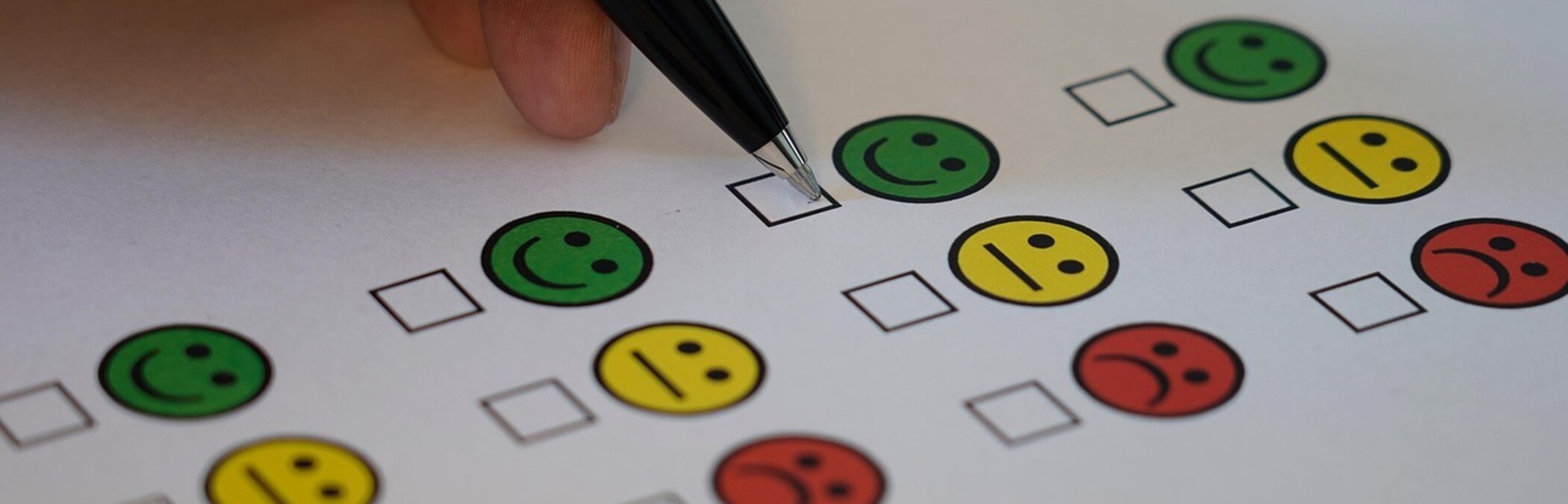 Mitgliederbefragung 2025 -