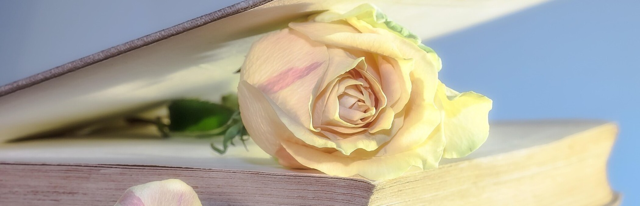 Patenbuch - Für unsere Museumspaten. Vielen Dank!