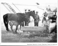  Postkarte - Bauernhof in Tarutino, Pferde beim Tränken am Hofbrunnen